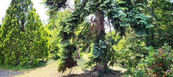 5-Zimmer Haus in Liesing, Austria, Nr. 172879 12