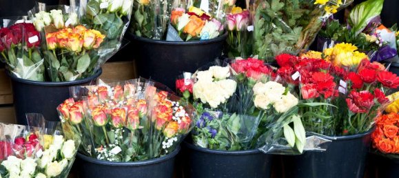 3 غرف نوم تاون هاوس في Dusseldorf, Germany رقم 319357 31