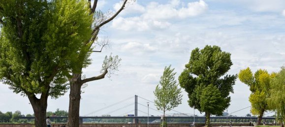 3 غرف نوم تاون هاوس في Dusseldorf, Germany رقم 319357 40