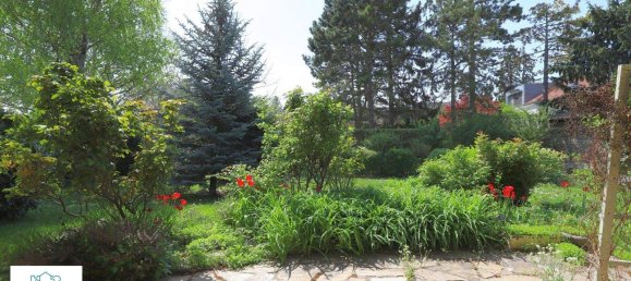 Bungalow de 4 divisões em Korneuburg, Austria N.º 179369 9