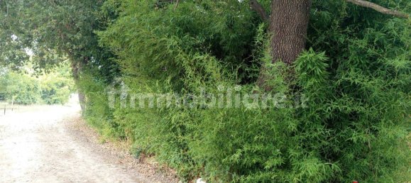 1 Schlafzimmer Haus in Torino di Sangro, Italy, Nr. 335736 32