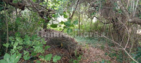 1 Schlafzimmer Haus in Torino di Sangro, Italy, Nr. 335736 33