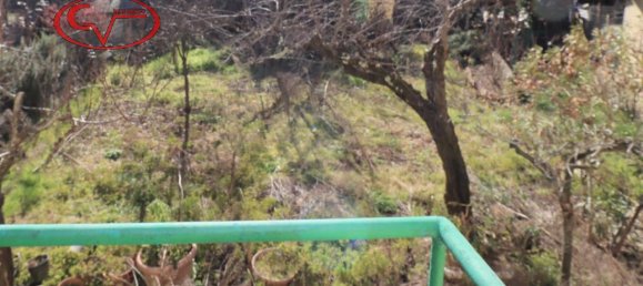 8 rooms Villa in Montevarchi, Italy No. 234132 4