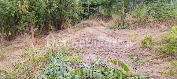 5 rooms Building in Castelbottaccio, Italy No. 278225 47