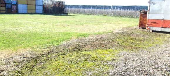 300m² Warehouse in Ostellato, Italy No. 65421 8