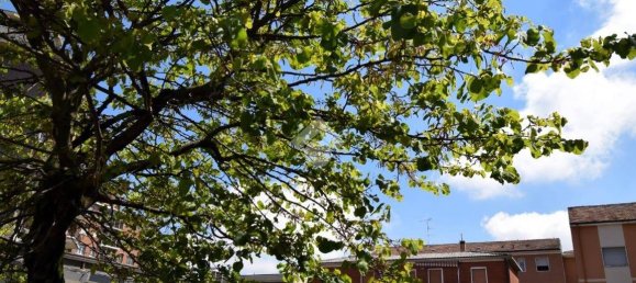 1 bedroom Apartment in Rozzano, Italy No. 323005 19