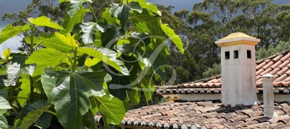 10 bedrooms House in Sintra, Portugal No. 164066 6