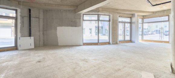 1-Zimmer Gewerbliche Immobilie in Stockerau, Austria, Nr. 23950 4