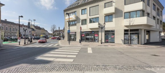 1-Zimmer Gewerbliche Immobilie in Stockerau, Austria, Nr. 23950 2