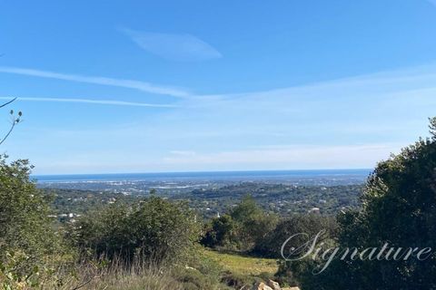 Terrain à Faro, Portugal No. 228520