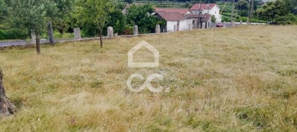 Grundstück in Oliveira de Frades, Portugal, Nr. 92299 8