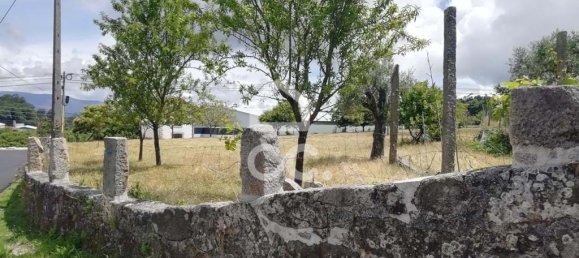 Grundstück in Oliveira de Frades, Portugal, Nr. 92299 3