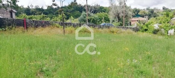 Grundstück in Oliveira de Frades, Portugal, Nr. 92299 10