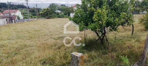 Grundstück in Oliveira de Frades, Portugal, Nr. 92299 7