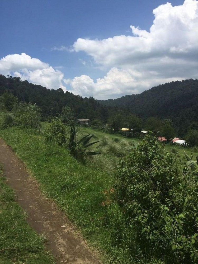  Land in Lerma, Mexico No. 202717