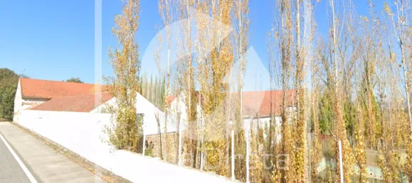 6 غرف نوم منزل في Santa Margarida da Coutada, Portugal رقم 141203 3