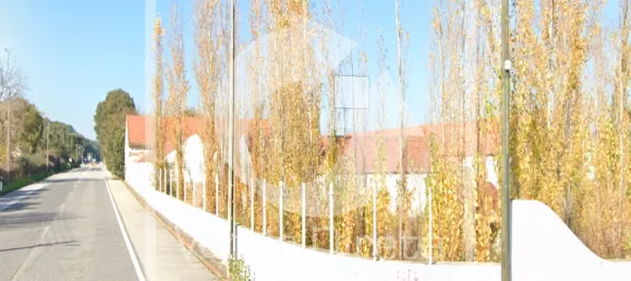 6 غرف نوم منزل في Santa Margarida da Coutada, Portugal رقم 141203 4