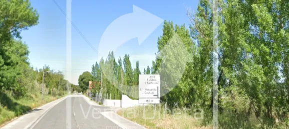 6 غرف نوم منزل في Santa Margarida da Coutada, Portugal رقم 141203 18