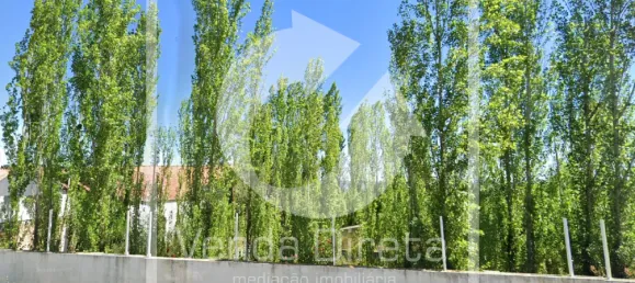 6 غرف نوم منزل في Santa Margarida da Coutada, Portugal رقم 141203 17