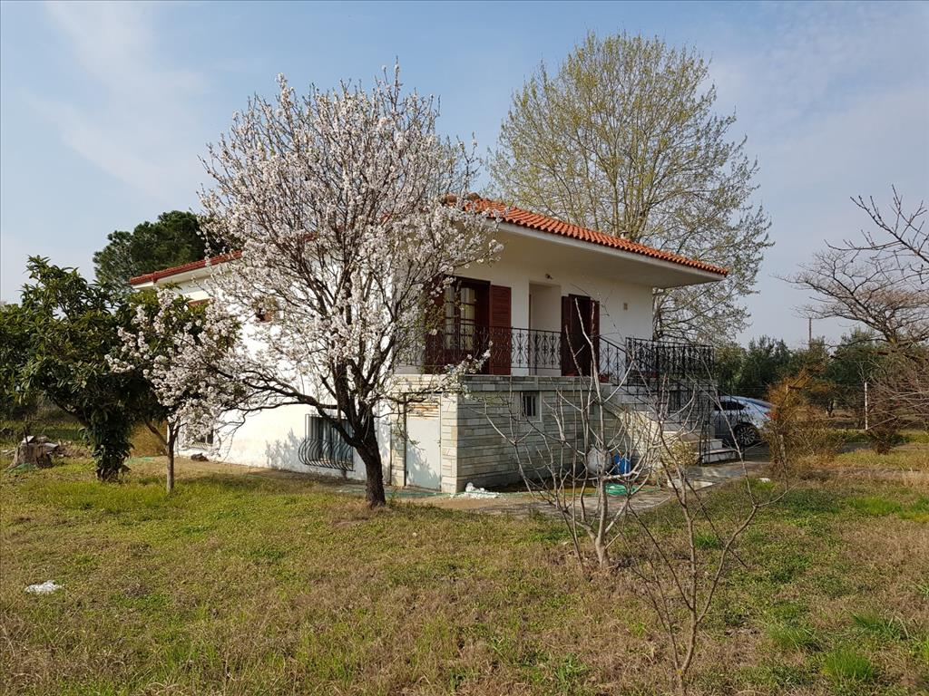 2 غرف نوم عقار تجاري في Polygyros, Greece رقم 5147