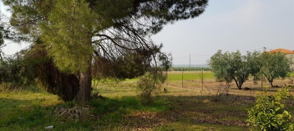 2 bedrooms Commercial property in Polygyros, Greece No. 5147 6