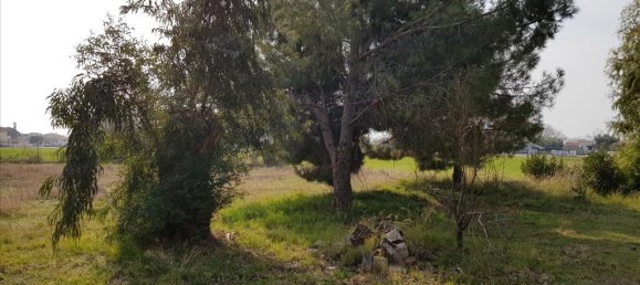 2 bedrooms Commercial property in Polygyros, Greece No. 5147 5