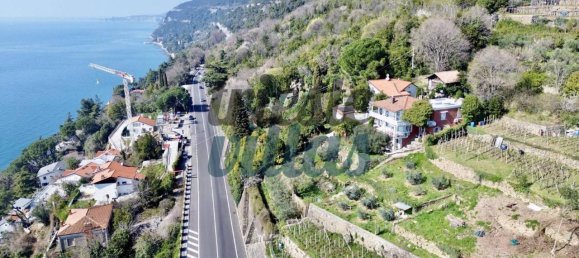 8-Zimmer Villa in Trieste, Italy, Nr. 39452 3