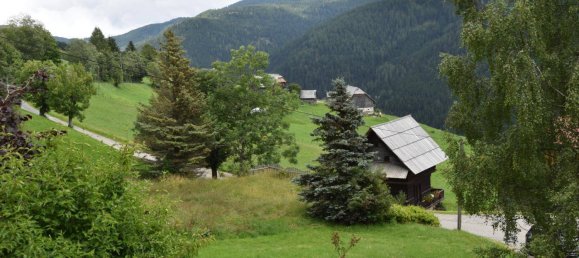 Дом с 4 спальнями в Райхенау, Австрия № 78726 15