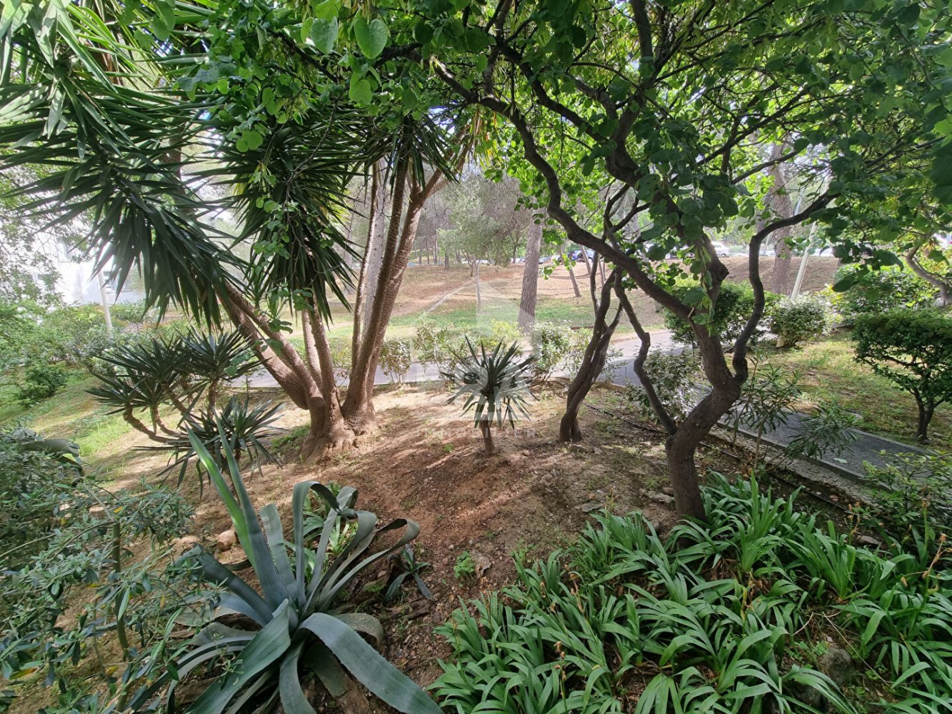 3-Zimmer Wohnung in Martigues, France, Nr. 278833