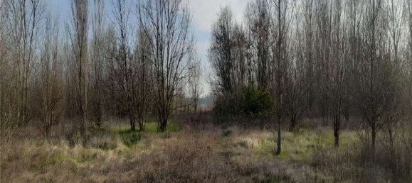 55770m² Land in Marcon, Italy No. 107634 4