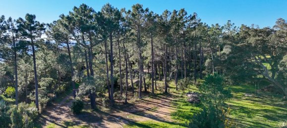 4 chambres Villa à Pianottoli-Caldarello, France No. 45096 33