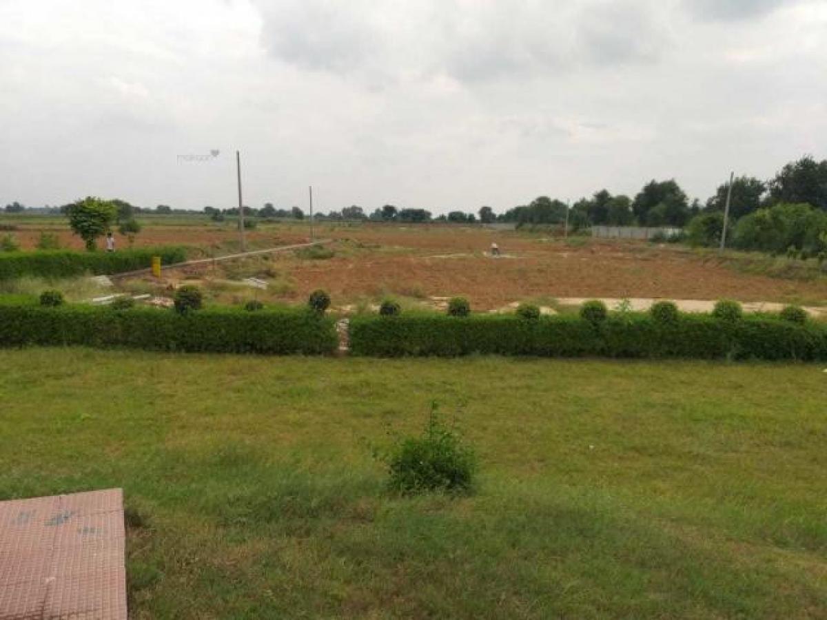  Land in Noida, India No. 65572