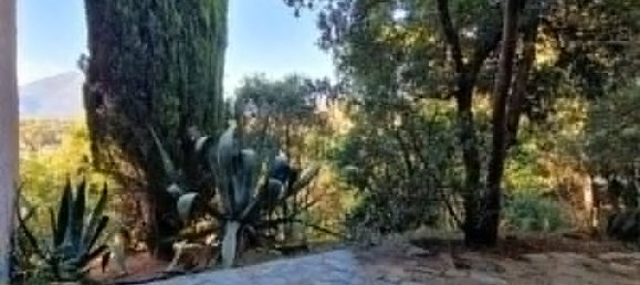 3 chambres Maison à Propriano, France No. 265017 21