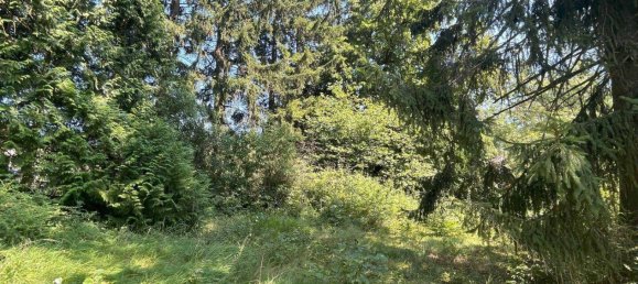  Land in St. Andra-Wordern, Austria No. 67892 13