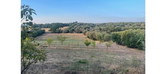 4 rooms House in Ostuni, Italy No. 42395 3