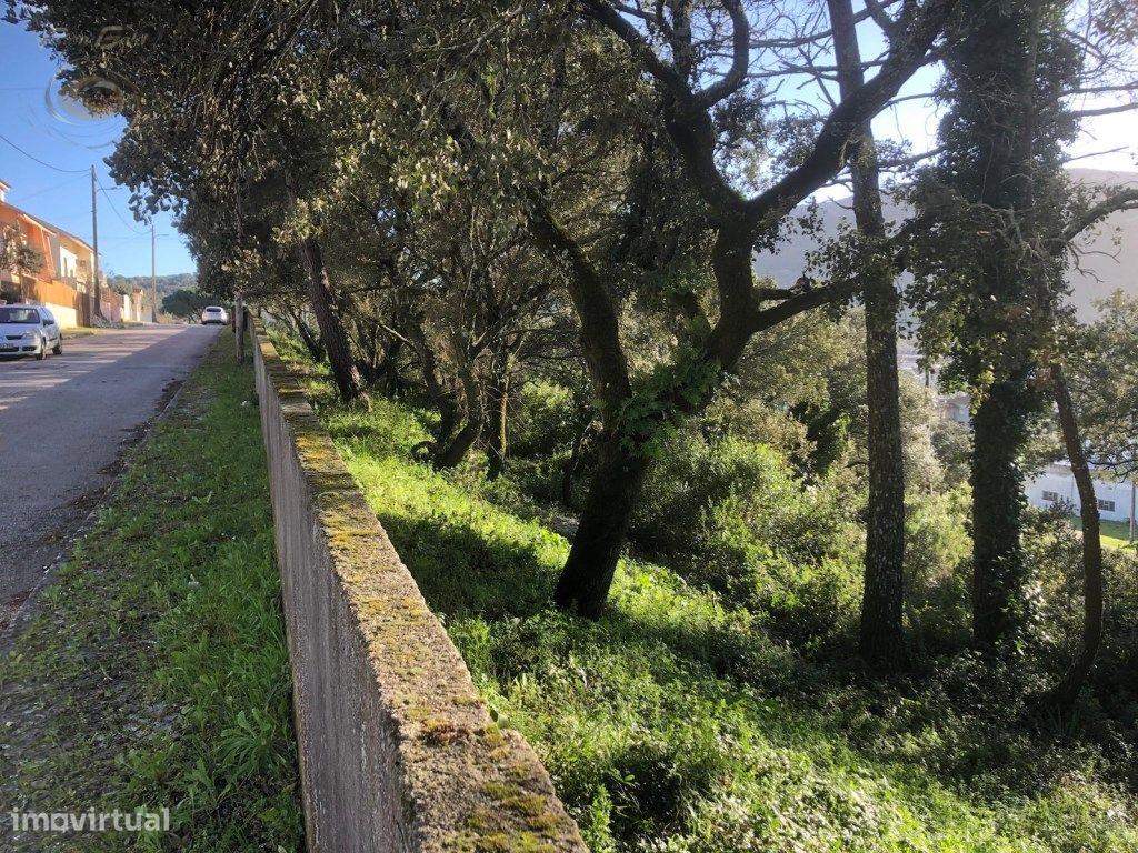 Terrain à Minde, Portugal 440m² No. 221213