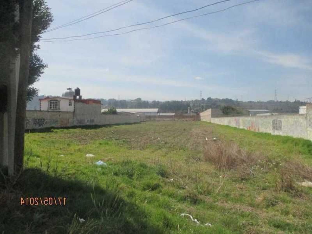  Land in Ocoyoacac, Mexico No. 206607