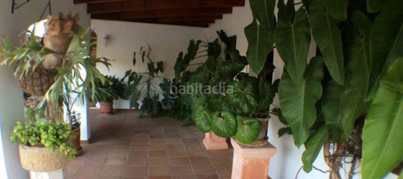 Дом с 3 спальнями в Менорка, Испания № 81050 17