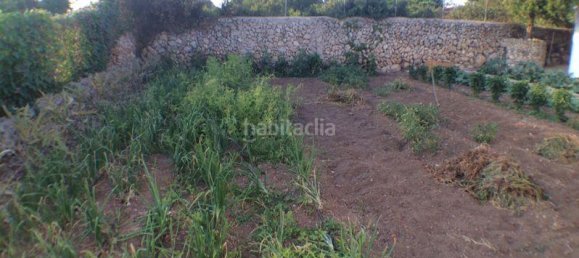 Дом с 3 спальнями в Менорка, Испания № 81050 14