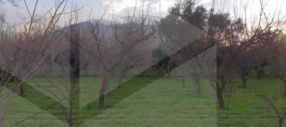 1غرفة قطعة أرض في Somma Vesuviana, Italy رقم 18760 13