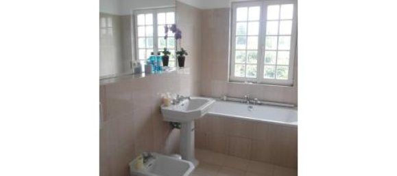 1 chambre Appartement à Potsdam-Mittelmark, Germany No. 36695 4