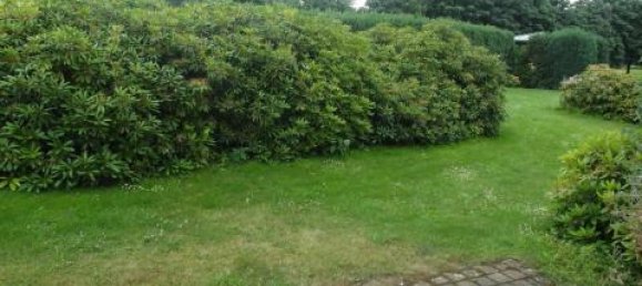 1 chambre Appartement à Potsdam-Mittelmark, Germany No. 36695 7