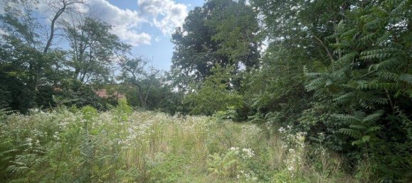 3304m² Land in Nickelsdorf, Austria No. 209095 4