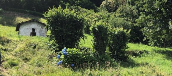 1625m² Land in Canzo, Italy No. 82782 2