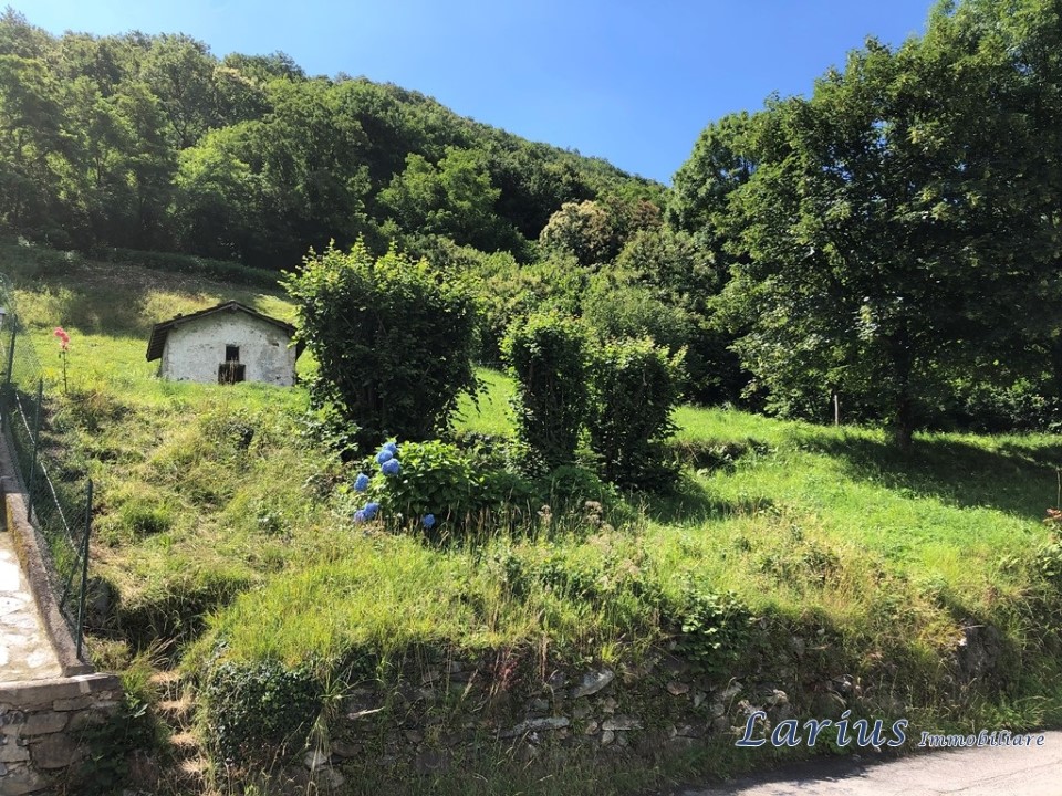 1625m² Land in Canzo, Italy No. 82782