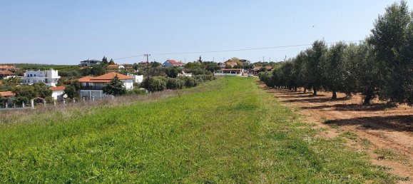 Hotel in Chalkidiki, Greece 5250m², Nr. 3961 5