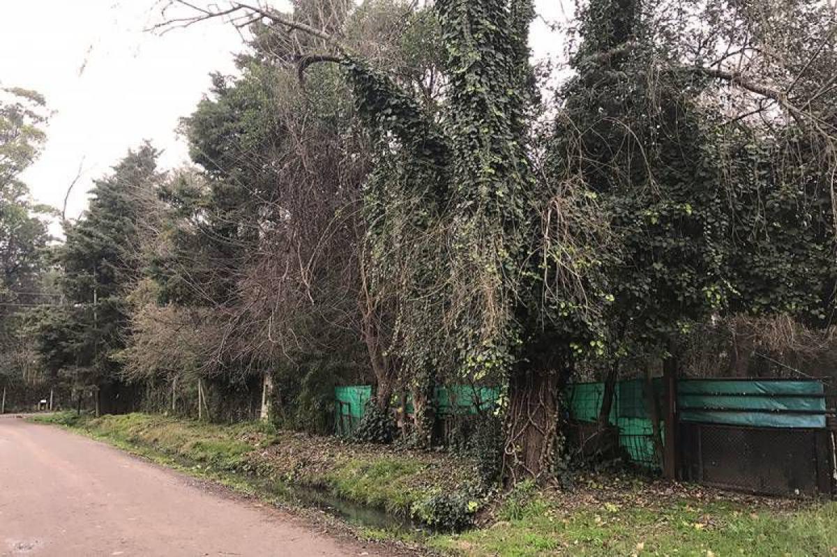  Land in Pilar, Argentina No. 41628