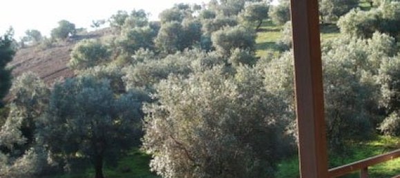 2 bedrooms Commercial property in Chalkidiki, Greece No. 4699 6