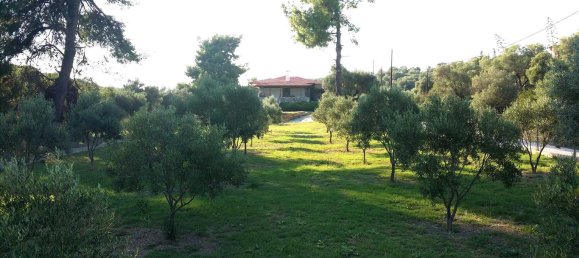 2 bedrooms Commercial property in Chalkidiki, Greece No. 4699 5