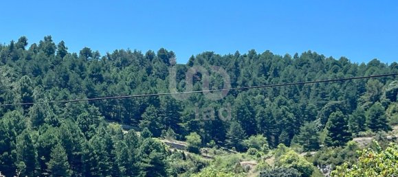 4 غرف نوم منزل في Castellon, Spain رقم 176683 4